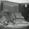 joejoeday2007